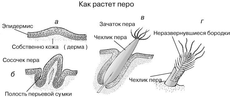 Мужская стрижка Какое средство от прыщей эффективно помогает?