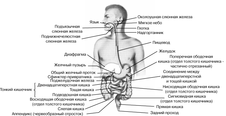 Может быть температура мочекаменная болезнь