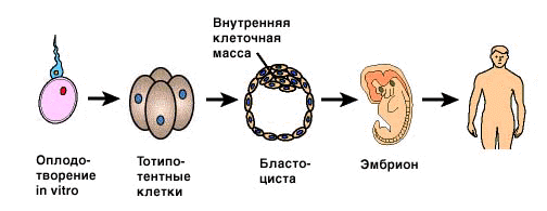 Рис. 1. Рис. 1.