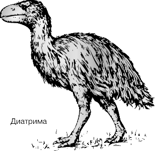 ДИАТРИМА - ископаемое пернатое, жившее 65 млн. лет назад. Это один из нескольких видов огромных нелетающих птиц, по-видимому на какое-то время занявших экологическую нишу вымерших динозавров.