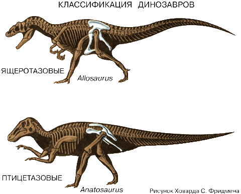 Динозавры Виды И Названия С Фото