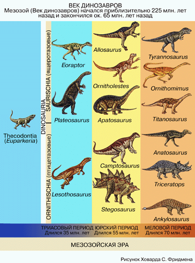 Динозавры Виды И Названия С Фото