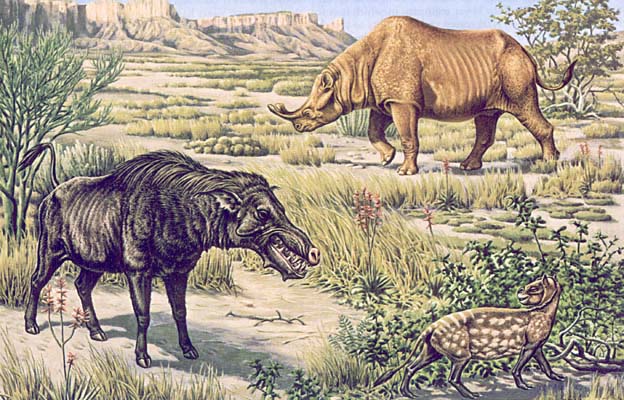 ДРЕВНИЕ МЛЕКОПИТАЮЩИЕ, жившие в Северной Америке на протяжении олигоценовой эпохи, которая началась ок. 35 млн. и закончилась ок. 23 млн. лет назад, включали небольшого пятнистого, напоминавшего овцу ореодонта Merycoidodon, кабаноподобного энтелодонта Archaeotherium и похожего на носорога титанотерия Brontotherium, достигавшего высоты в холке 2,5 м. Все это представители разных групп, вымерших в раннем миоцене (20 млн. лет назад). Они не были непосредственными предками ни одного из ныне живущих млекопитающих.