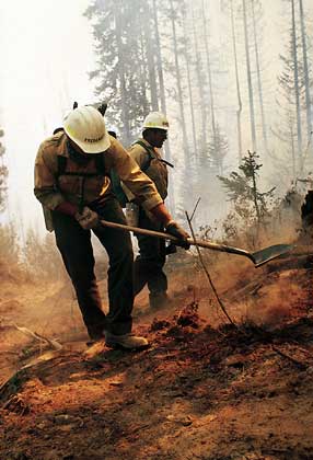  Yuen-Gi Yee/U.S. Forest Service     ПОЖАРНЫЕ ЛЕСНОЙ СЛУЖБЫ США прокладывают противопожарную полосу, чтобы сдержать распространение огня, бушующего в национальном лесу Колвилл (шт. Вашингтон, США).
