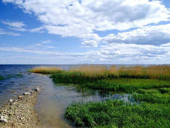  IGDA/C. Sappa     ЧУДСКОЕ ОЗЕРО на границе Эстонии и России занимает котловину плейстоценового приледникового водоема.