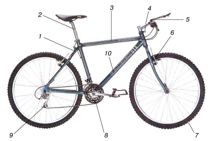   ГОРНЫЙ ВЕЛОСИПЕД, предназначенный для езды в условиях полного бездорожья. 1 – рама, уменьшенная по сравнению с рамой гоночного велосипеда; 2 – длинный седлодержатель; 3 – наклонная верхняя труба рамы; 4 – руль; 5 – манетки (рычажки управления) переключателей скоростей; 6 – усиленный рычажно-клещевой тормоз; 7 – широкие шины низкого давления с крупными грунтозацепами; 8 – три ведущие звездочки; 9 – задний переключатель скоростей; 10 – трубка большого диаметра.