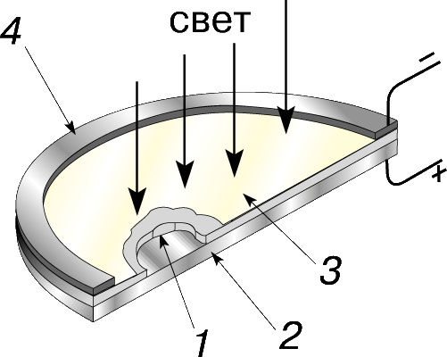 Селен слои. Фотодиод строение. Фотодиод чертеж. Конструкция фотодиодов. Фотодиод в разрезе.