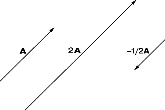 Рис. 4. ПРОИЗВЕДЕНИЕ ВЕКТОРА И СКАЛЯРА. Вектор 2A имеет удвоенный модуль и то же направление, что и A; вектор –(1/2)A имеет половинный модуль и противоположное направление.