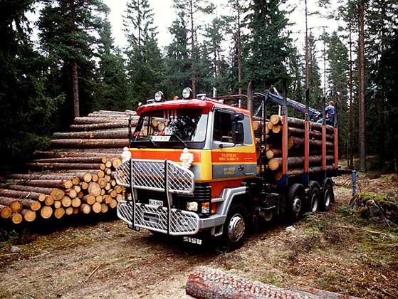 IGDA/D. Staquet     ПЕРЕВОЗКА БРЕВЕН автотранспортом с погрузочной площадки в лесу на лесопильный завод (Финляндия).