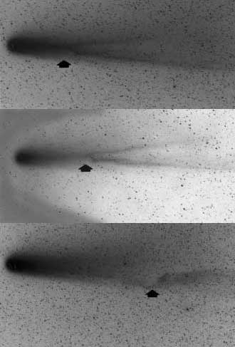  W. LILLER AND M. GICLAS     ЯВЛЕНИЕ ОБРЫВА хвоста кометы, показанное на серии фотографий кометы Галлея (сверху вниз).