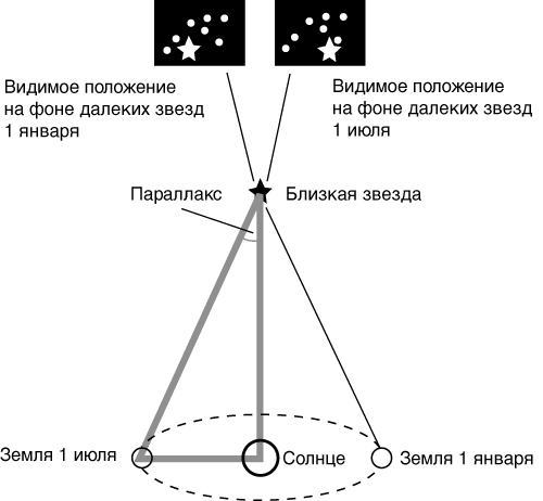 Белые Звезды Фото