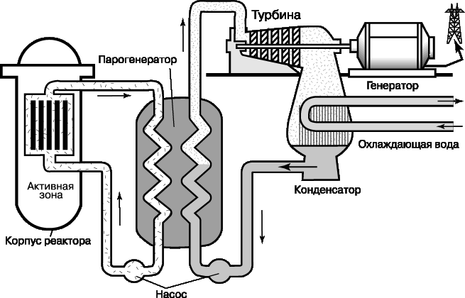 РЕАКТОР С ВОДОЙ ПОД ДАВЛЕНИЕМ. Нагретая вода подается насосом в парогенератор, где теплота передается во вторичный контур, в котором образуется пар, приводящий в действие турбину.