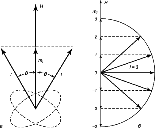Рис. 9. КВАНТОВЫЕ ЧИСЛА согласно волновой механике Шрёдингера. а – квантовое число l характеризует орбитальный момент импульса электрона; магнитным квантовым числом ml наряду с l определяется угол q, под которым электронная орбита наклонена к направлению магнитного поля H. б – при l = 3 квантовое число ml принимает (2l + 1) возможных значений, в данном случае 7.