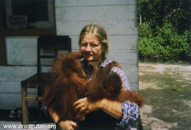  Orangutan Foundation International      БИРУТЕ ГАЛДИКАС