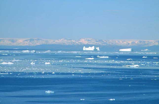  IGDA/D. Staquet     АЙСБЕРГИ в бухте Диско (западная Гренландия).