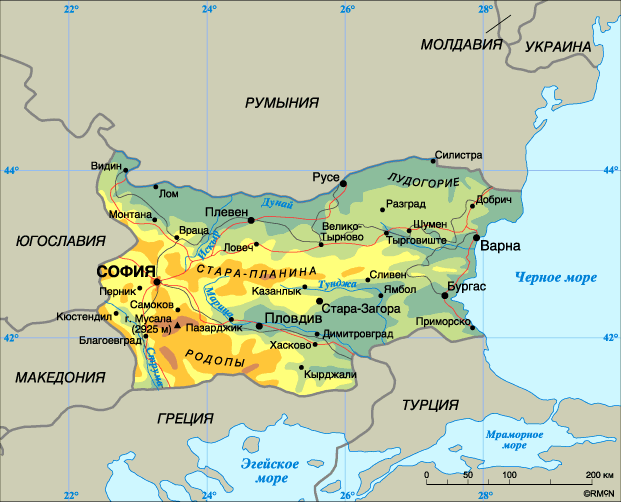 Реферат: Видинское царство