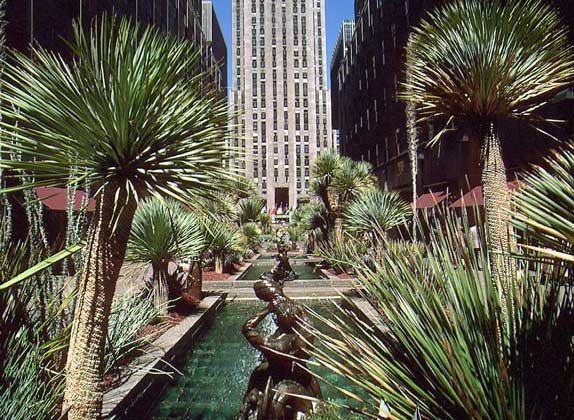  IGDA/G. Sioen     РОКФЕЛЛЕРОВСКИЙ ЦЕНТР – комплекс небоскребов и площадей в Манхаттане между 5-й и 6-й авеню и 48-й и 51-й улицами.