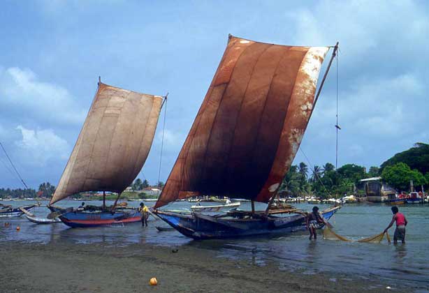  IGDA/C. Rives     ПАРУСНЫЕ СУДА используются в Шри-Ланке для ловли рыбы.
