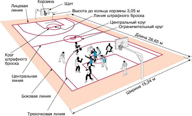 Реферат: Баскетбол как Олимпийский вид спорта