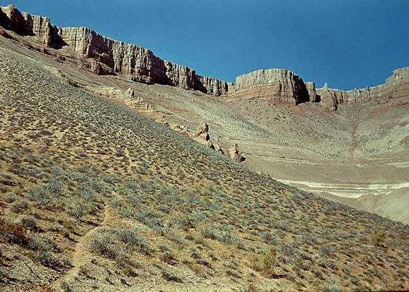  IGDA     КОНУСЫ ВЫНОСА (пролювиальные шлейфы) в пустынях Туркменистана.