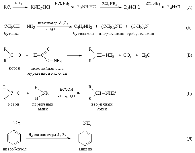 Реферат: Амины