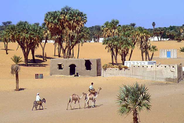  IGDA/C. Sappa     ДЕРЕВНЯ в северном Судане