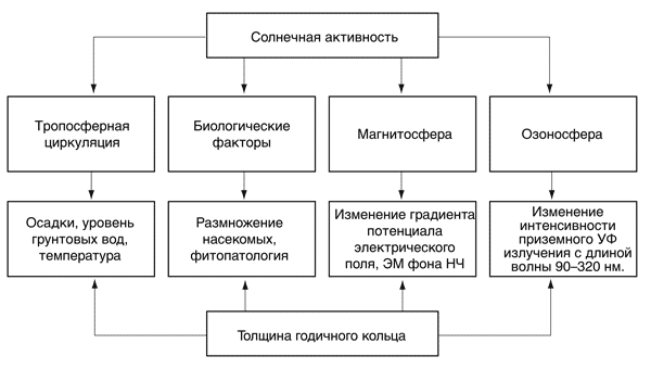 Статья: Солнечная активность и её влияние на Землю и человека