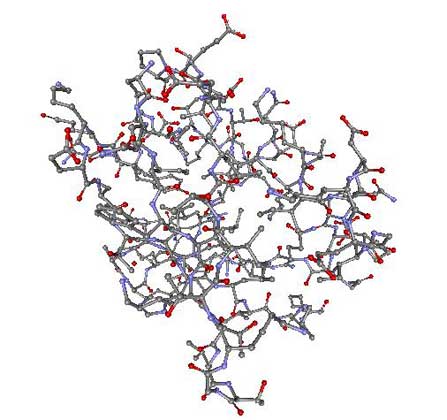 Рис. 1. А – строение убиквитина в виде шаро-стержневой модели (серым цветом выделены атомы С, красным цветом – О, синим цветом – N), атомы водорода не показаны.