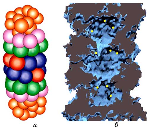 Рис. 2. ПРОТЕАСОМА. А – схематическое изображение, сферы условно обозначают молекулы белков, составляющих протеасому. Б – внутреннее строение протеасомы, желтыми точками показаны активные центры, расщепляющие белки.