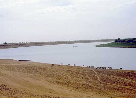  IGDA/E. Turri     РЕКА СЕНЕГАЛ, по которой проходит граница Мавритании и Сенегала