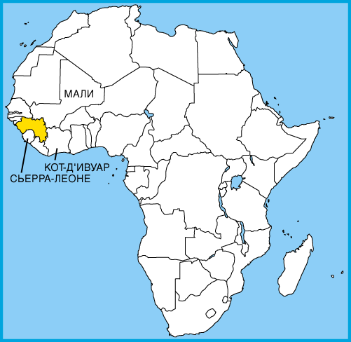 Доклад: Гвинея