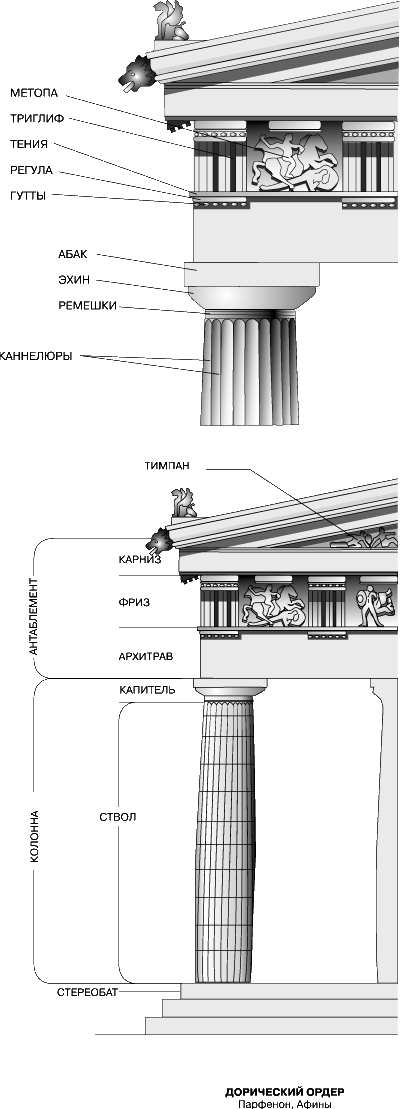 Парфенон капитель. Дорический ордер древней Греции. Дорический ордер Парфенон. Парфенон ионический ордер. Ионический ордер в архитектуре древней Греции.