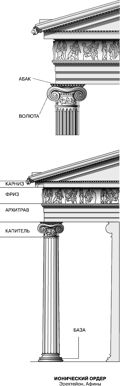 Ордеры низкие. Малоазийский ионический ордер. Дорический и ионический ордер. Архитрав Ионического ордера. Греческий ионический ордер малоазийский вариант.