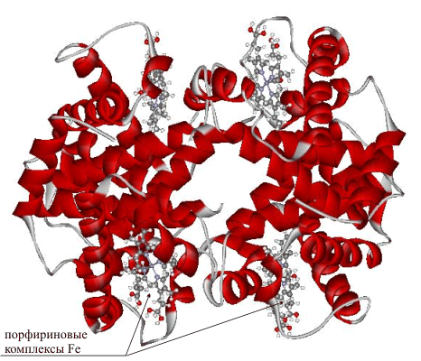 Рис. 22. ГЛОБУЛЯРНАЯ ФОРМА ГЕМОГЛОБИНА, содержащего четыре молекулы комплекса железа.
