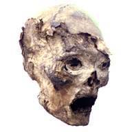 ГОЛОВА ПЕРУАНСКОЙ МУМИИ. В пустынях Перу ученые обнаруживают тела, мумифицированные за счет жаркого, сухого климата, и похороненные в могилах. Этот метод мумификации отличается от  египетского обычая бальзамирования.