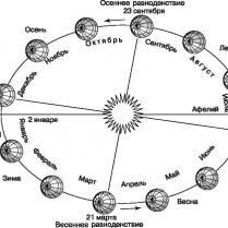 ВРЕМЕНА ГОДА