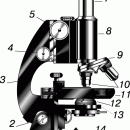 МИКРОСКОП