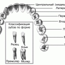 ЗУБЫ