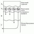 МОРФОЛОГИЯ ПОЧВ